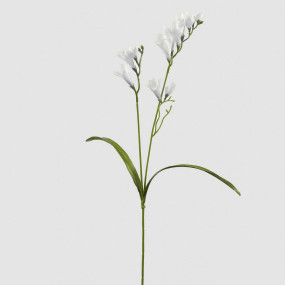 Fresias Brancas  - 65cm